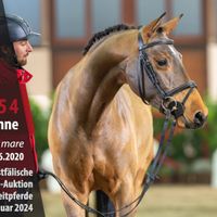 Vancouver's Valentine