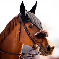 L'Esperance La Vie Z