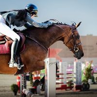 Cartier von der Held DXB