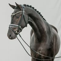 Sezuan / Sir Donnerhall I