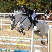 Carisimo V Amaryllishof Z