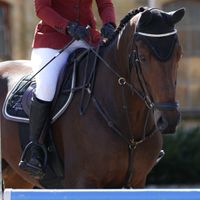 Panerai Ter Muyncken