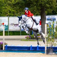 Hilfiger van t Amaldonk Z