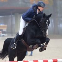 Romeo van het Rozenveld