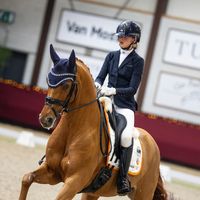 Gentle van Wittenstein V