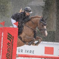 Bodethal's Donna Vincenza