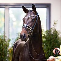 Vitalis / Fürstenball