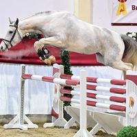 Rudolphitals Notorious