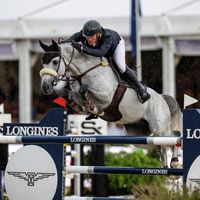 Picasso vd Zwartbleshoeve