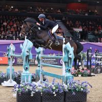 Pandito Van't Merelsnest Z