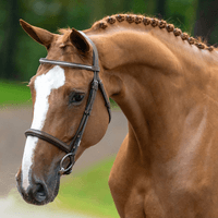 ROOSJE VAN 'T ZOMERHOF