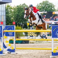 Ping Pong van de Lentamel