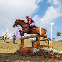 Amequ Torino (Rawa's Torino)