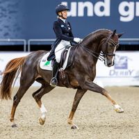 Equitanas Firlefranz