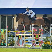 Bonfois van't Hof V Santa Rosa