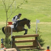 Belline Fighting Spirit