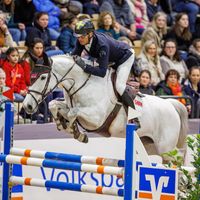 Fellaini de Liebri Z