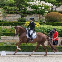 L' amore per sempre OLD