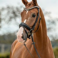 Florian de trois lys