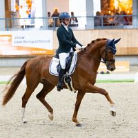 My First Choice - Dutopia