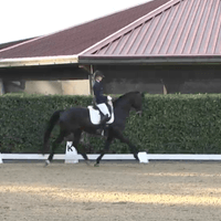 Immenklints Mentalist