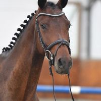 Amy von Blaufelden WF