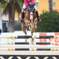 Dress To Impress 111