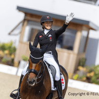 Mount St John Freestyle