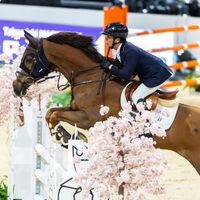 Highbrook's Messenger