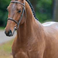 Chocolatier Vd Heffinck Z