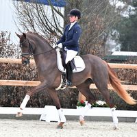 Viscount Of Oldenburg 