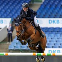 Que-Pasa van de Fruitkorf