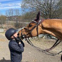 Bon Ton V H Hippodroom