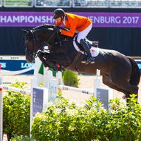 Glasgow-W v h Merelsnest