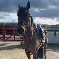 Ice Cold Sherry Vd Zuuthoeve