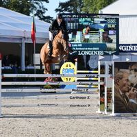 VDL Sambucci de Muze