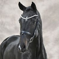 Diathletico / Lasino