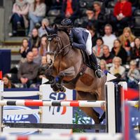 Blood Diamond Du Pont