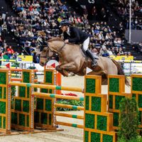 Amar des Brimbelles Z