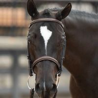 Cherrybrook Better Than Blue