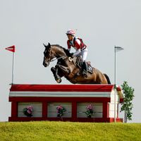 Vinci de La Vigne JRA