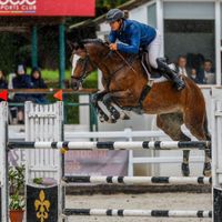 Sortilege 14 Du Bary Z