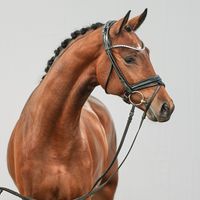 Total Mclaren / Asgard's Ibiza