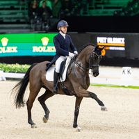 Little John Da Silica