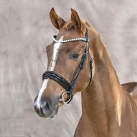 Viva Gold / Florencio I