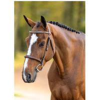 Taran van ’T Ameldonk Z