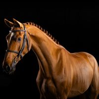 Jaurès de La Besace