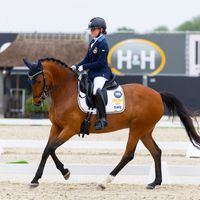 Hamiltons I Did It My Way