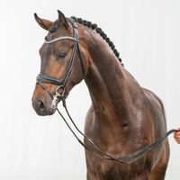 Du weißt schon wer 2