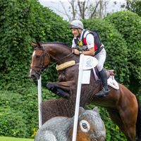 Imperial van de Holtakkers